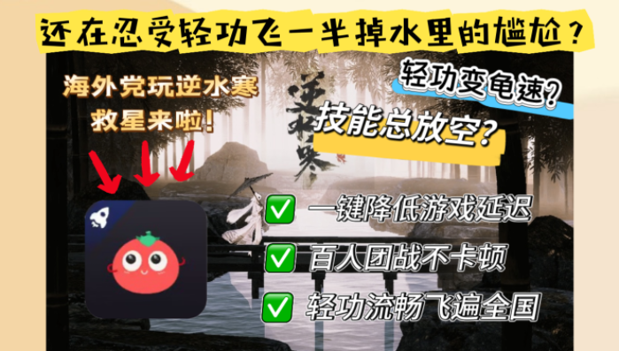 飞鱼回国vpn pc教程