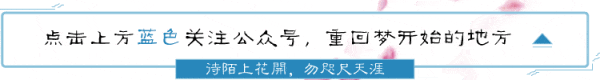 国外怎么玩中国版和平精英教程